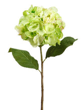 Load image into Gallery viewer, Lime