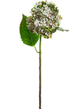 Load image into Gallery viewer, Two Tone Green