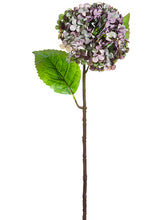 Load image into Gallery viewer, Lavender Aqua