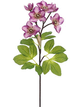 Load image into Gallery viewer, Mauve