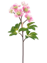 Load image into Gallery viewer, Mauve White