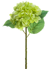 Load image into Gallery viewer, Green