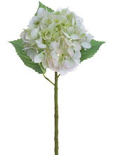 Load image into Gallery viewer, Pink Green