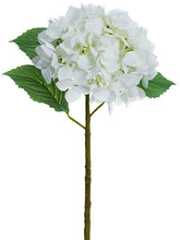 Load image into Gallery viewer, White
