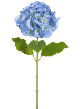 Load image into Gallery viewer, Two Tone Blue