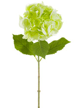 Load image into Gallery viewer, Two Tone Green