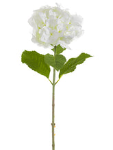 Load image into Gallery viewer, White