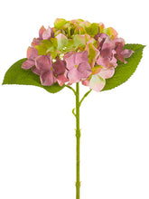 Load image into Gallery viewer, Burgundy Green