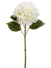 Load image into Gallery viewer, Ivory