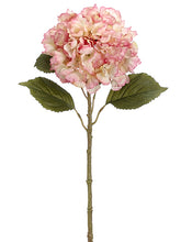 Load image into Gallery viewer, Rose Cream