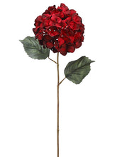 Load image into Gallery viewer, Burgundy