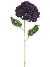 Load image into Gallery viewer, Eggplant