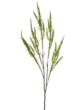 Load image into Gallery viewer, Green