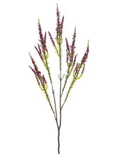 Load image into Gallery viewer, Mauve