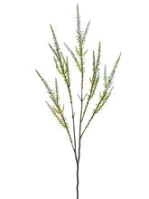 Load image into Gallery viewer, White