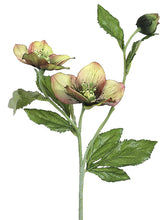 Load image into Gallery viewer, Sage Burgundy