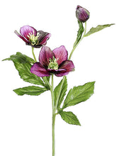 Load image into Gallery viewer, Violet