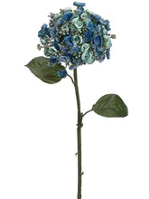 Load image into Gallery viewer, Blue