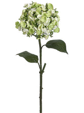 Load image into Gallery viewer, Green