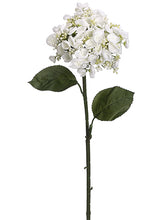 Load image into Gallery viewer, White