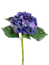 Load image into Gallery viewer, Blue Helio