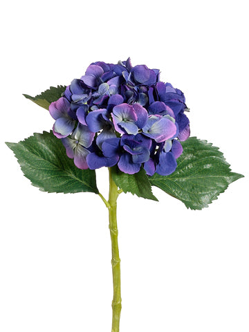 Blue Helio