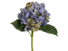 Load image into Gallery viewer, Blue Lavender