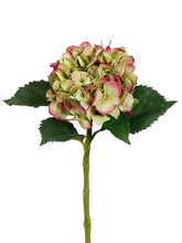 Load image into Gallery viewer, Green Fushia