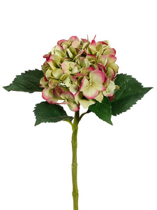 Green Fushia