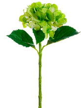 Load image into Gallery viewer, Light Green