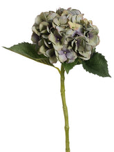 Load image into Gallery viewer, Green Purple