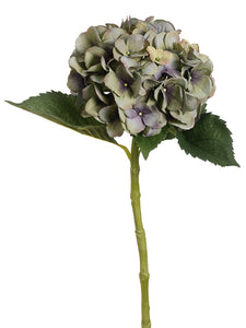Green Purple