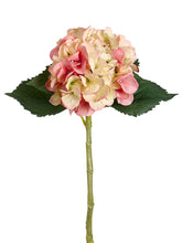Load image into Gallery viewer, Pink Cream