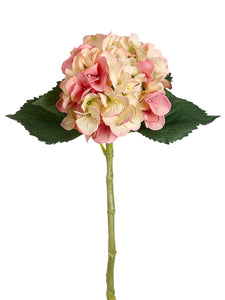 Pink Cream