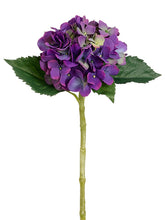 Load image into Gallery viewer, Purple Green
