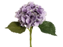 Load image into Gallery viewer, Antique Lavender