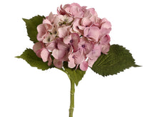 Load image into Gallery viewer, Antique Pink