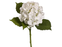 Load image into Gallery viewer, White