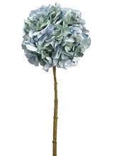 Load image into Gallery viewer, Aqua Green