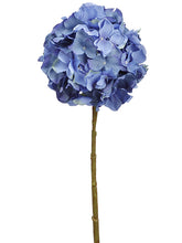 Load image into Gallery viewer, Blue