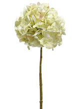 Load image into Gallery viewer, Light Green