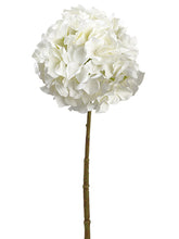 Load image into Gallery viewer, White