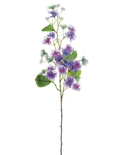 Load image into Gallery viewer, Lavender