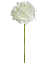 Load image into Gallery viewer, Cream