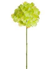 Load image into Gallery viewer, Green