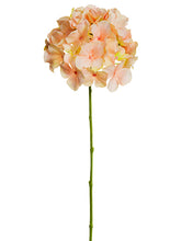 Load image into Gallery viewer, Blush