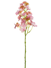Load image into Gallery viewer, Cerise Pink