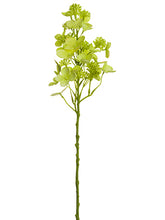 Load image into Gallery viewer, Green