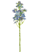 Load image into Gallery viewer, Lavender Blue