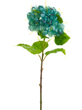 Load image into Gallery viewer, Seafoam Blue